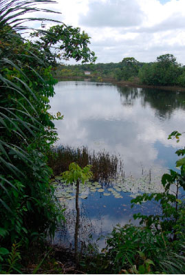 Gevulde zakken en vervuild landschap