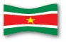 surinamevlag.jpg