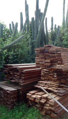 hout2.jpg