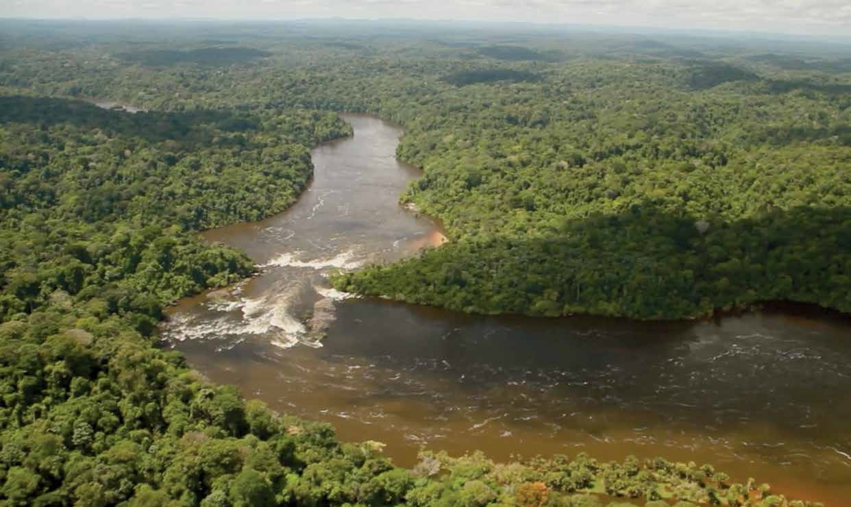 Vijftien jaar Suriname Conservation Foundation