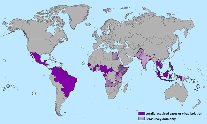 Bij 60 personen in Nederland zikavirus vastgesteld