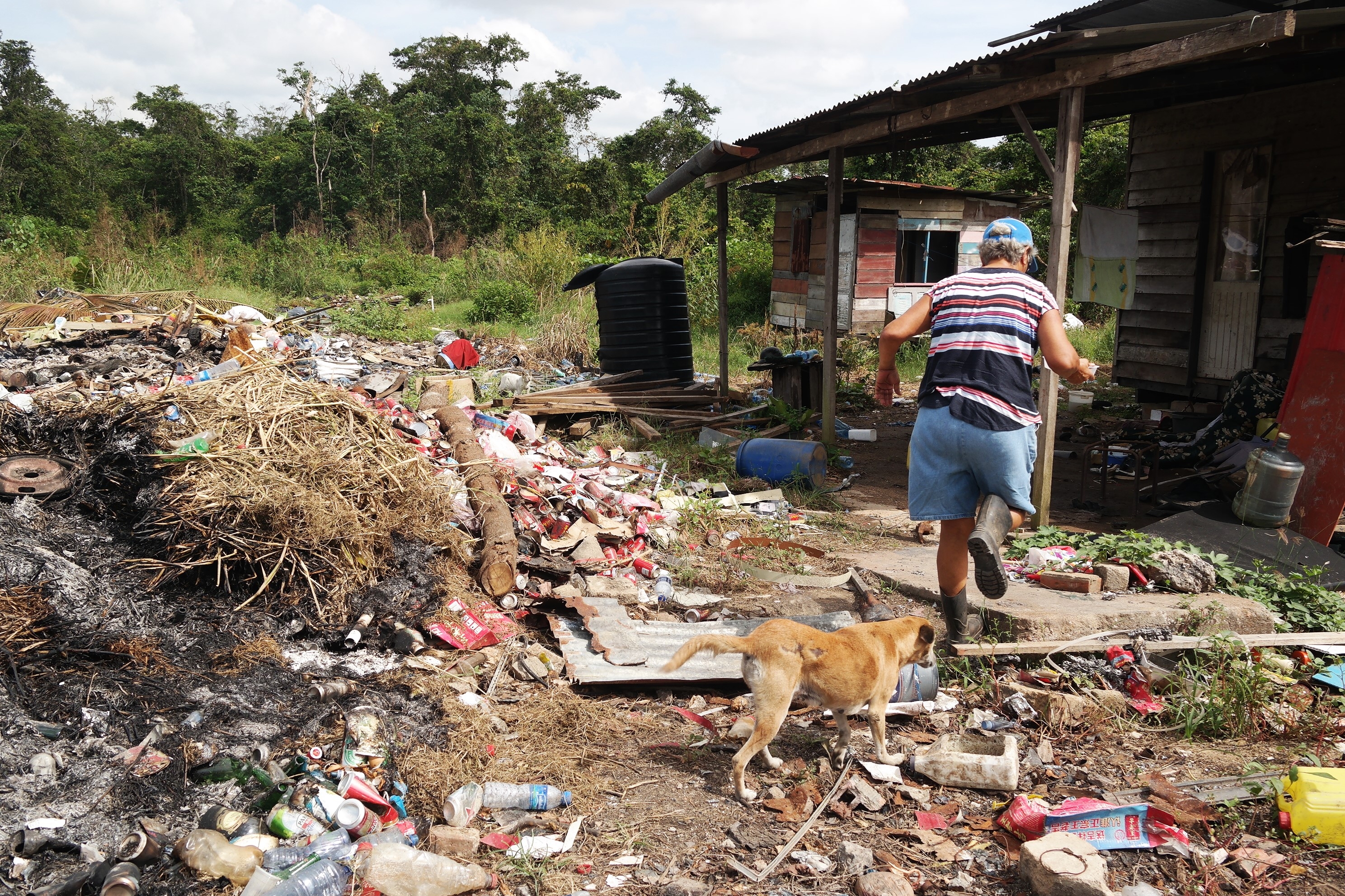 Dieren in Suriname: kinderen van de rekening - Parbode Sneak Peek