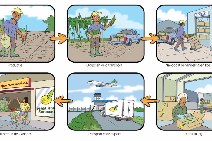 Naar een nieuwe toekomst van Suriname: De tuinbouw als valuta-verdienmachine - Van grond tot mond