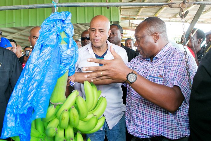 Banaan zoekt markt - Parbode Sneak Peek