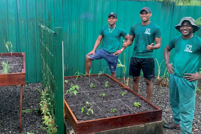 Samenleving: Tiny Gardens Suriname, een nieuwe norm voor tuinbouw - Parbode Sneak Peek