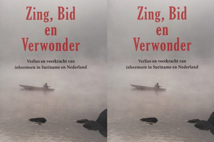 Boekrecensie: Zing, Bid en Verwonder