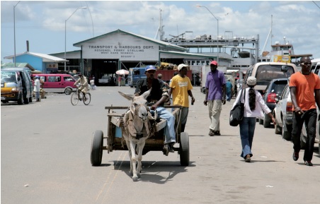 Guyana: geschiedenis, natuur en hotspots - Parbode Sneak Peek